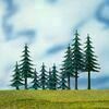 Evergreen trees assorted