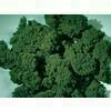 Moss foam foliage green medium