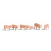 Pigs set of 6