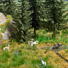 10 Wolves