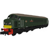 Class 45 D63 "Royal Inniskilling Fusilier" BR Economy Green